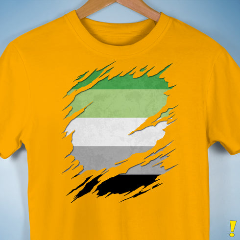 Aromantic Pride Flag Ripped Reveal Premium Unisex T-Shirt - Gold
